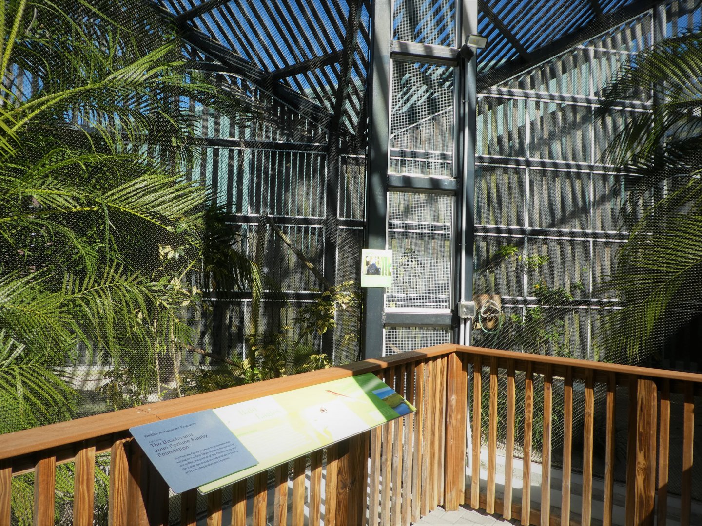 Wildlife Viewing Pavilion - Southern Bald Eagle Exhibit