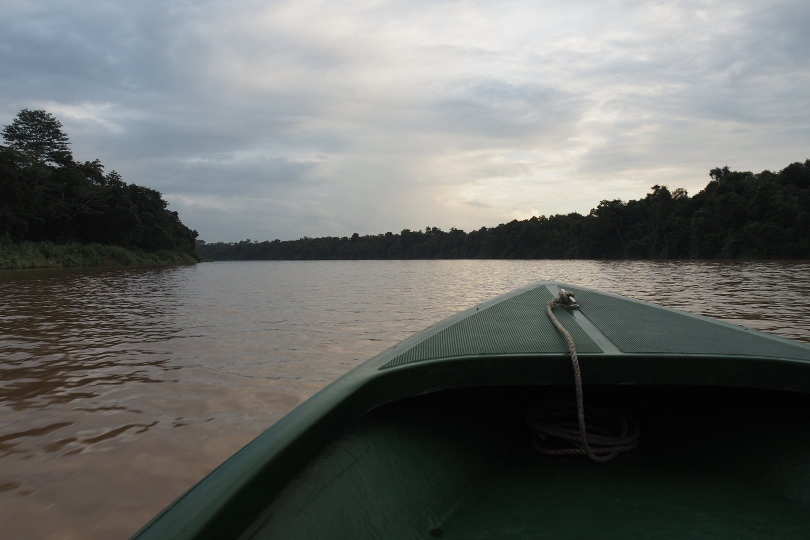 Wildlife Watching Cruise on the Kinabatangan River, Sabah, Borneo