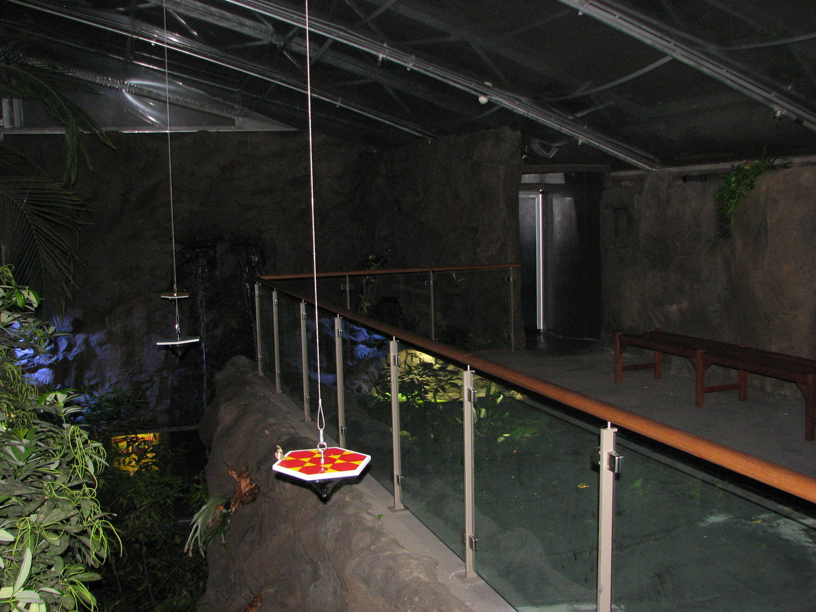 Wildlife World 2007 - Butterfly exhibit