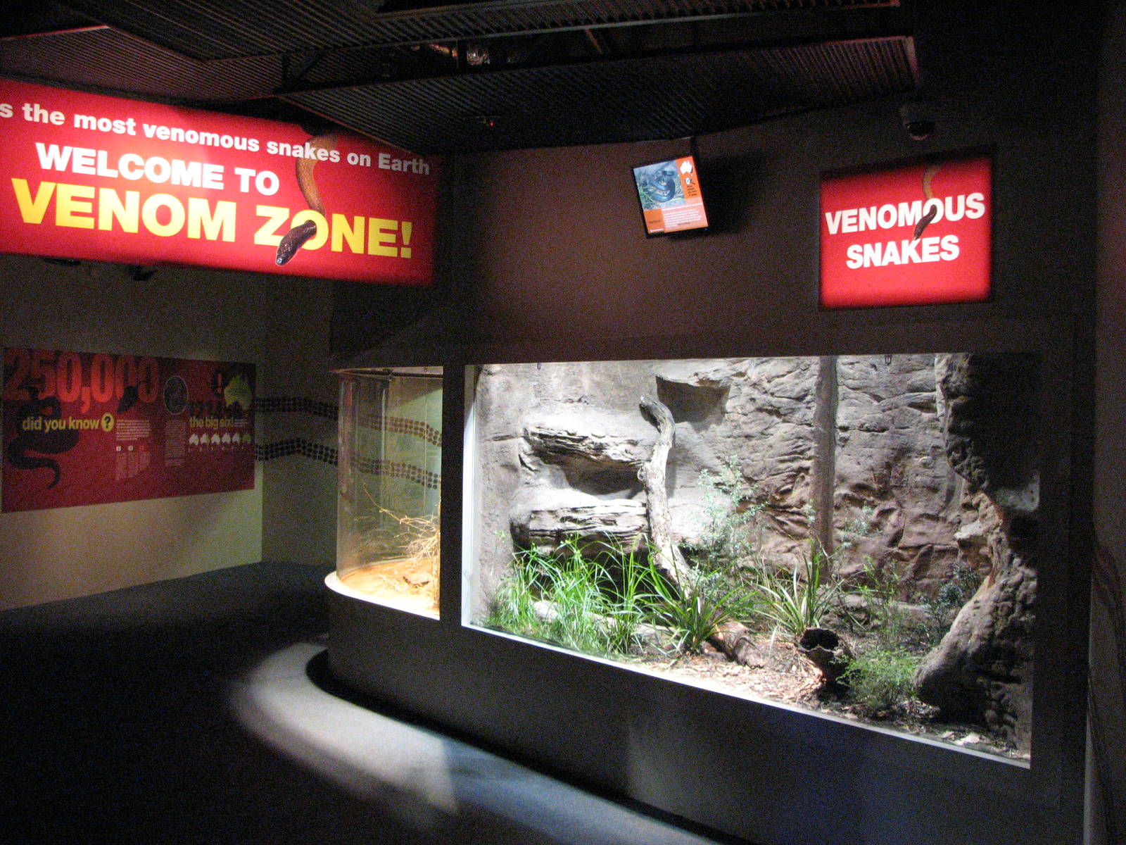 Wildlife World 2007 - Corridor in the Venom Zone