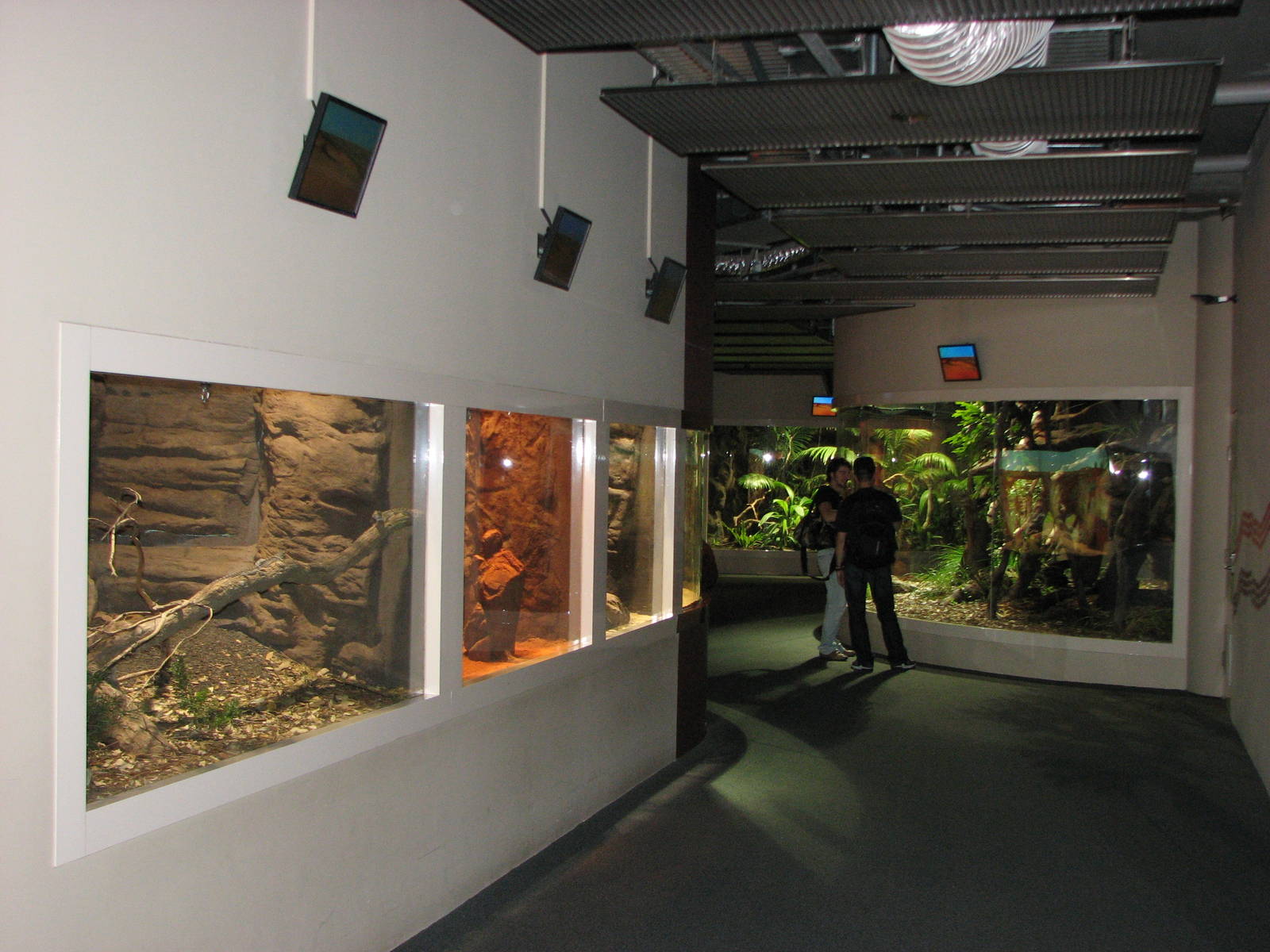 Wildlife World 2007 - Corridor with various lizard exhibits