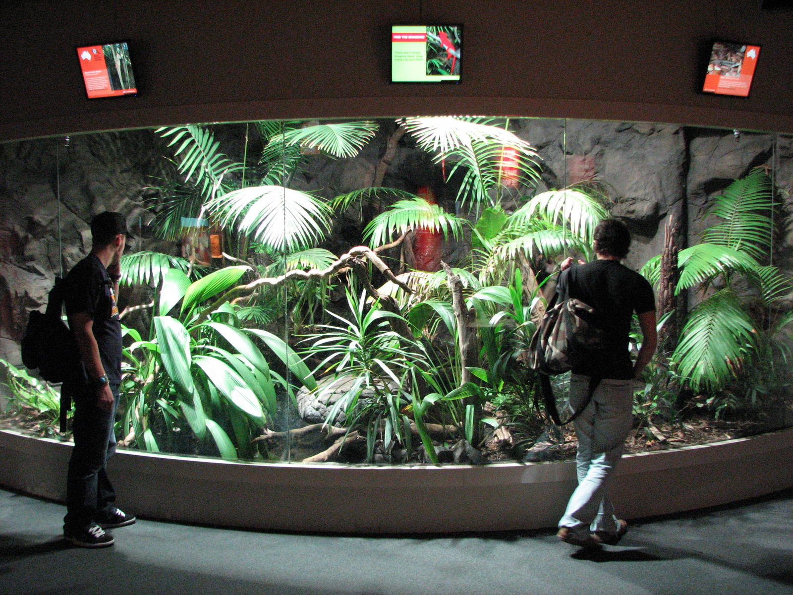 Wildlife World 2007 - Exhibit for Frilled Dragons, Monitors and Skinks