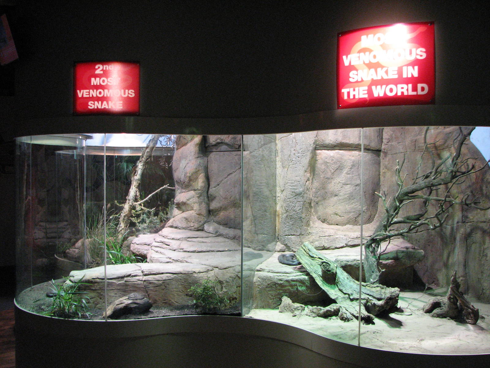 Wildlife World 2007 - Exhibits for the most venomous land snakes