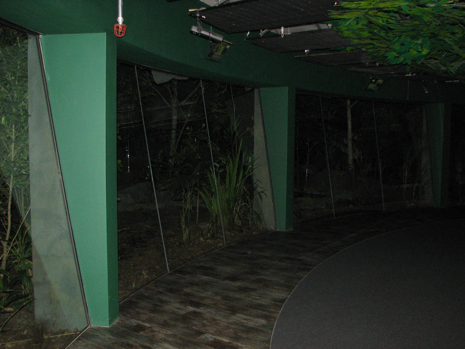 Wildlife World 2007 - Nocturnal exhibit