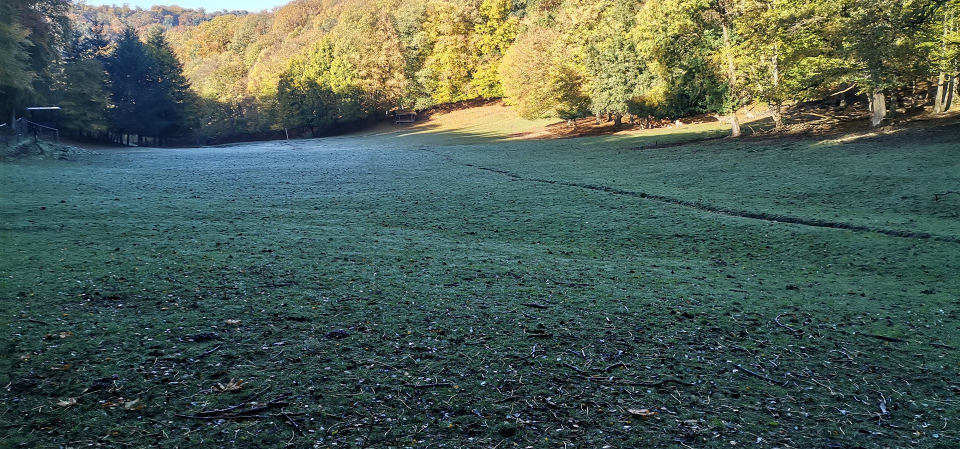 Wildpark Donsbach - Red Deer / Taiwan Sika / Fallow Deer Valley