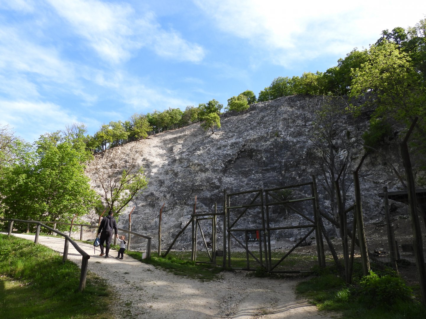 Wildpark Ernstbrunn - Chamois