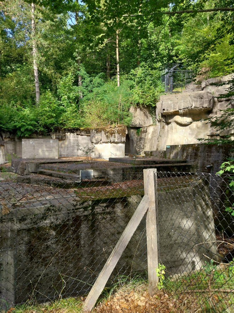 Wildpark Langenberg - Eurasian brown bear enclosure