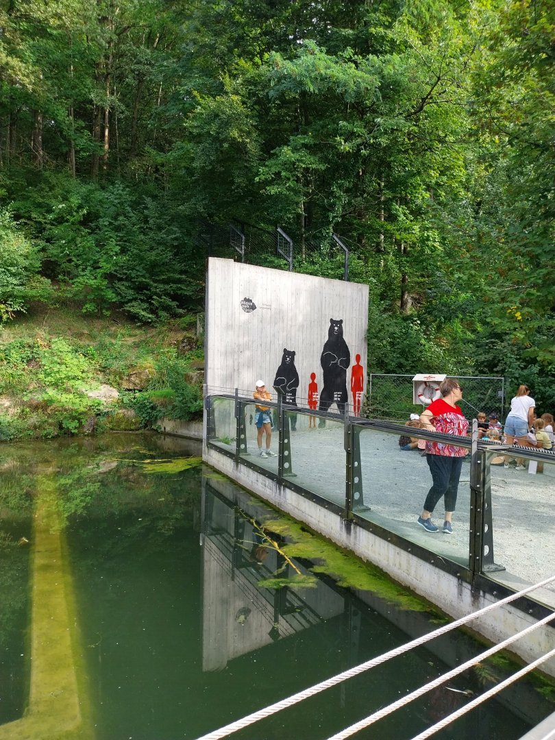 Wildpark Langenberg - Eurasian brown bear enclosure