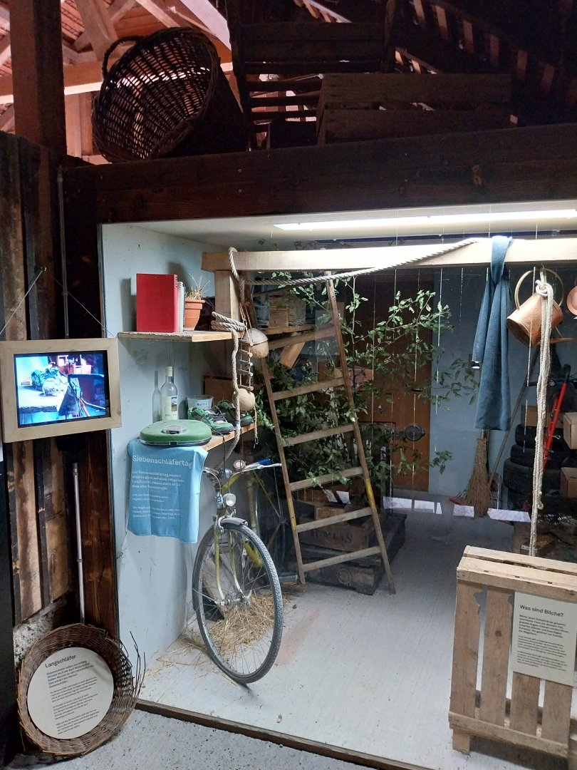 Wildpark Langenberg - Müsli-Hüsli Haus - Fat dormouse exhibit