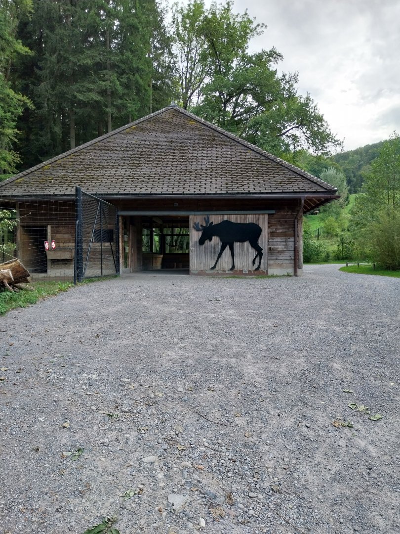 Wildpark Langenberg - Wildkatzenhaus - Moose
