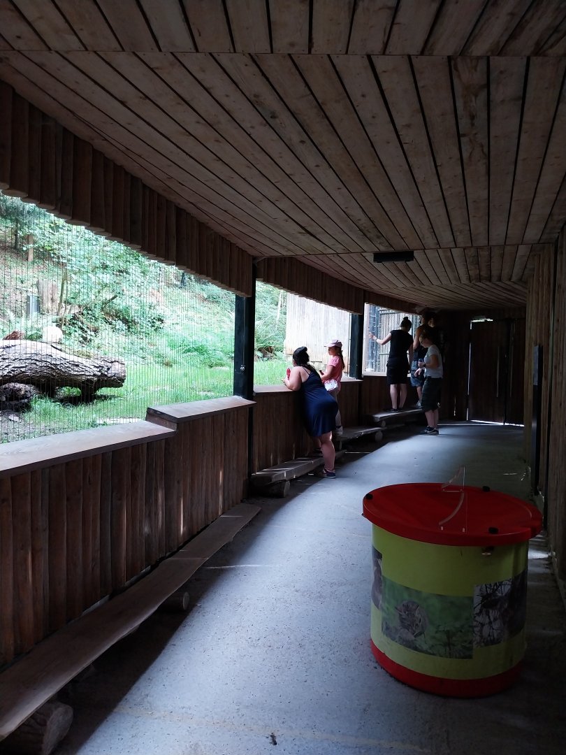 Wildpark Langenberg - Wildkatzenhaus - Visitors gallery