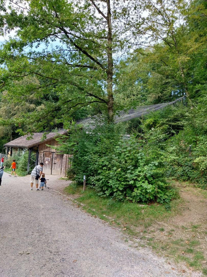 Wildpark Langenberg - Wildkatzenhaus
