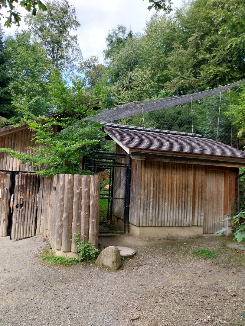Wildpark Langenberg - Wildkatzenhaus