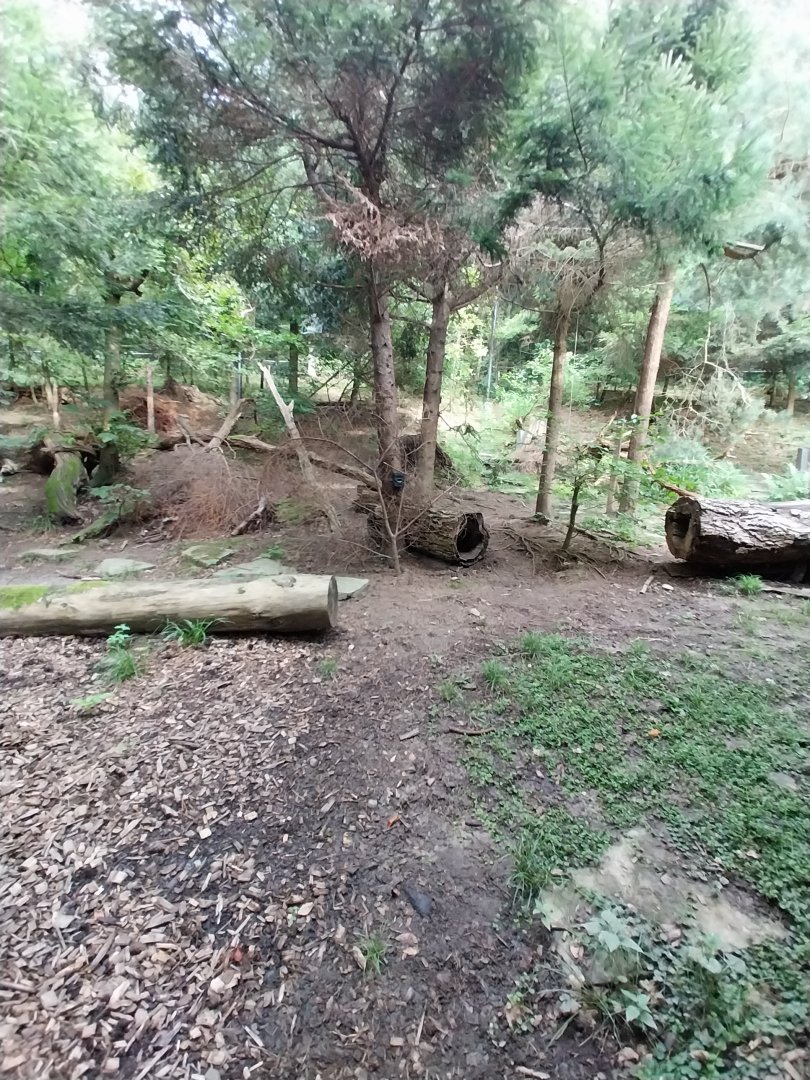 Wildpark Langenberg - Wildkatzenhaus