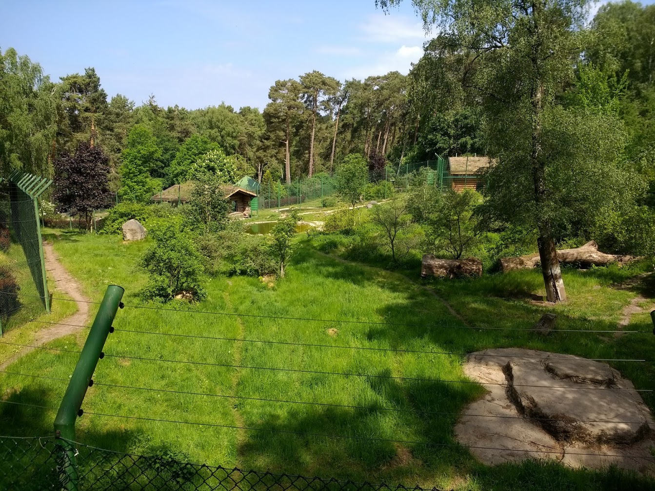 Wildpark Lüneburger Heide- amur tiger enclosure- 2020