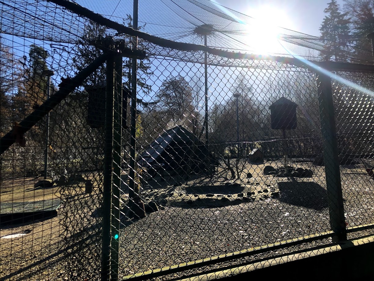 Wildpark Lüneburger Heide- fowl aviary- 2021