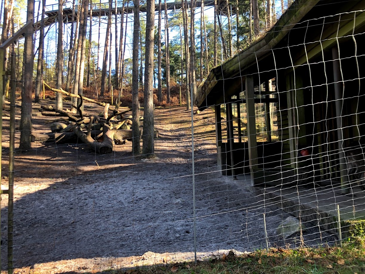 Wildpark Lüneburger Heide- Himalayan tahr enclosure- 2021