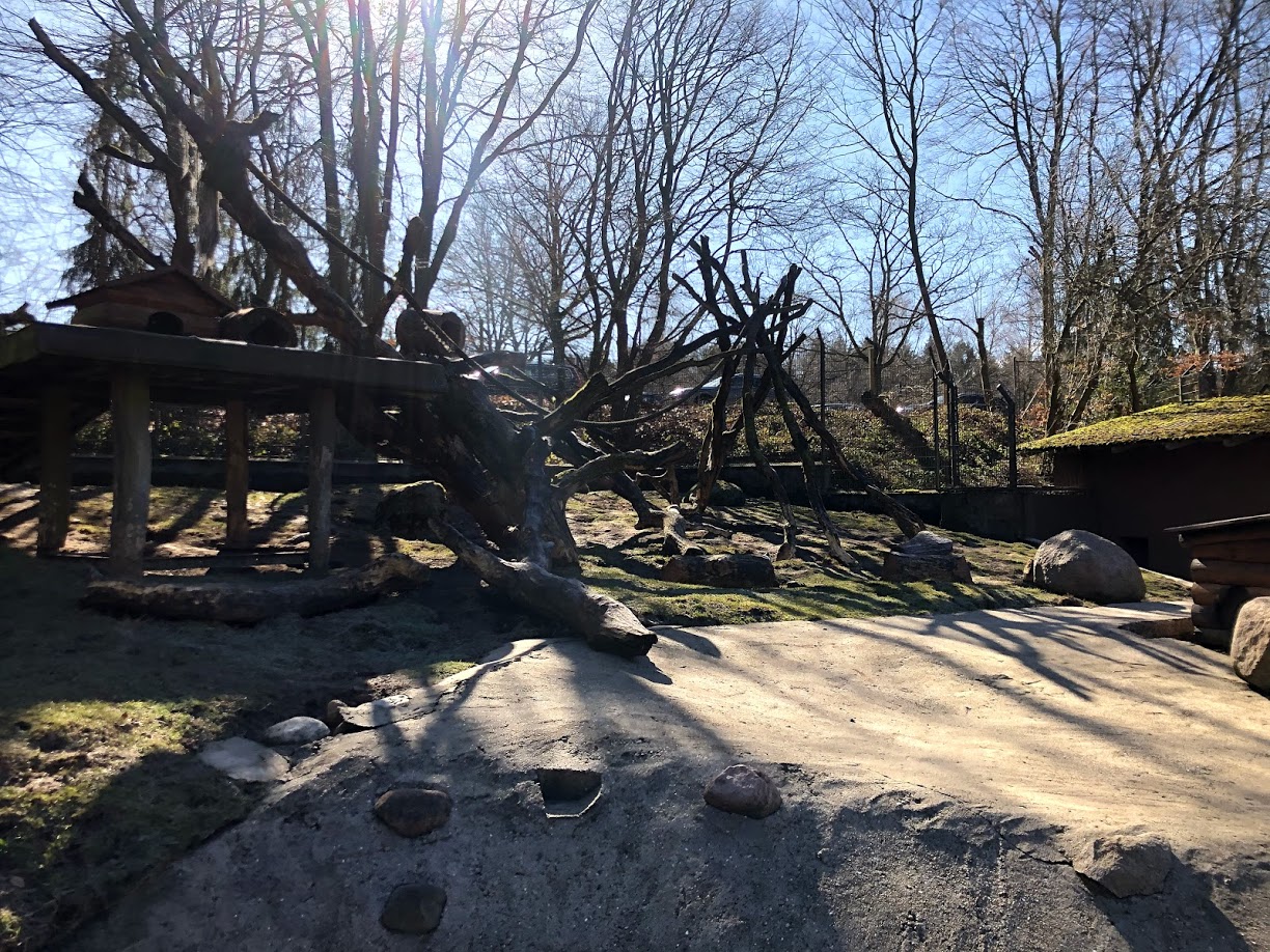 Wildpark Lüneburger Heide- porcupine and racoon exhibit- 2021