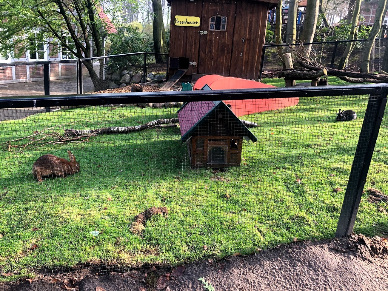 Wildpark Lüneburger Heide- rabbit exhibit- 2021