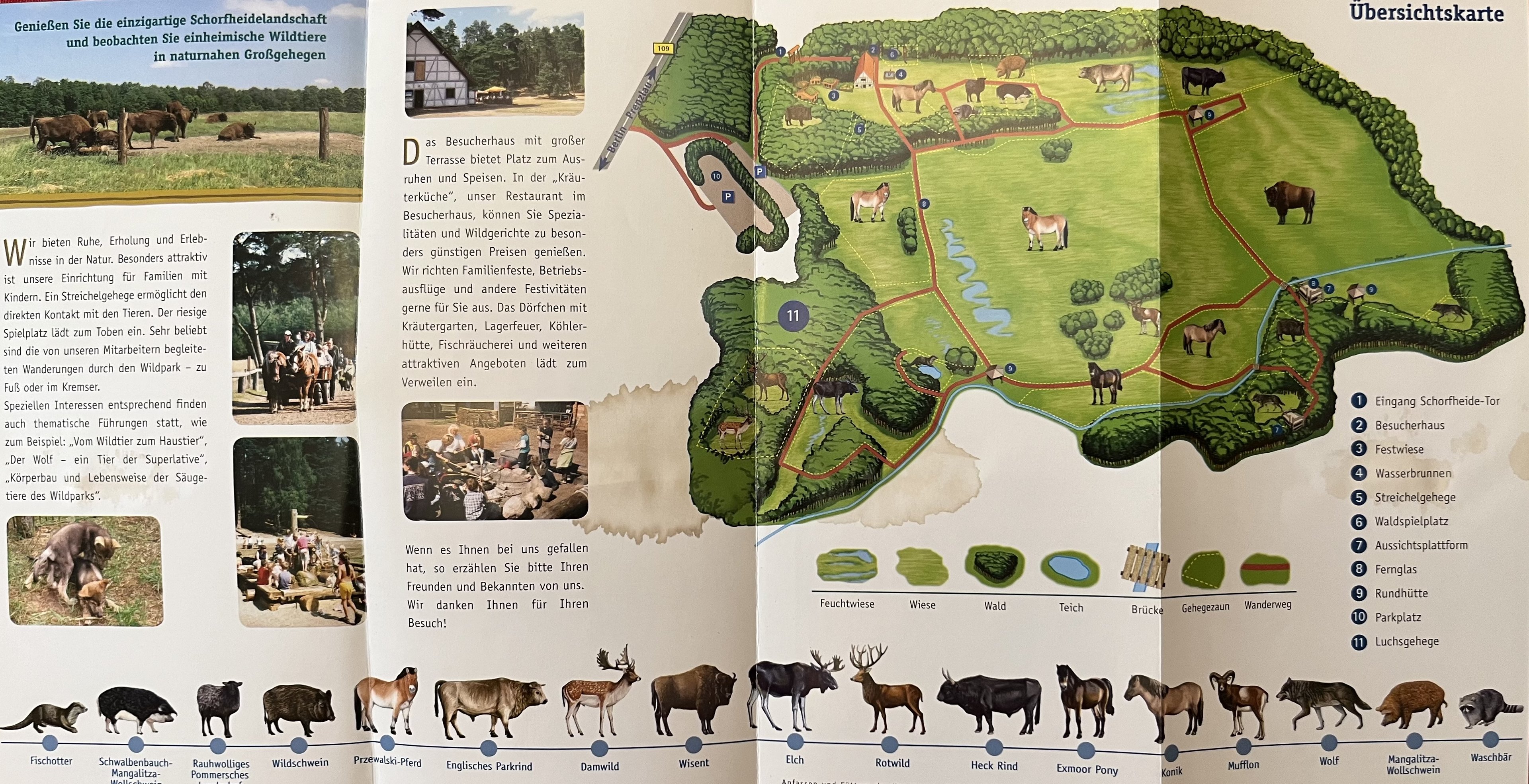 Wildpark Schorfheide Map - undated