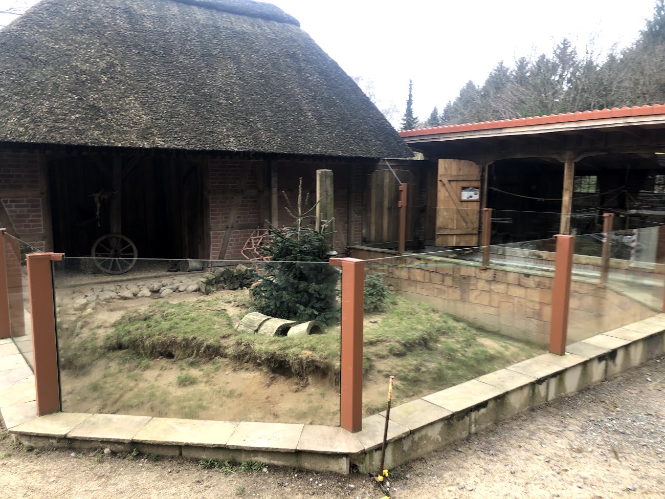 Wildpark Schwarze Berge-beech marten enclosure- 2021