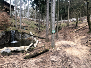 Wildpark Schwarze Berge- European brown bear- 2021