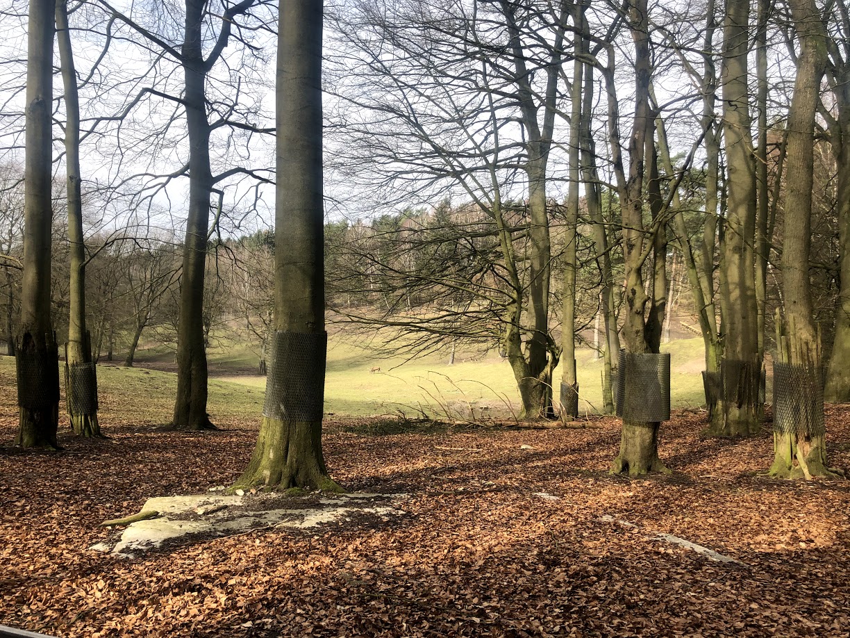 Wildpark Schwarze Berge- massive red deer enclosure- 2021