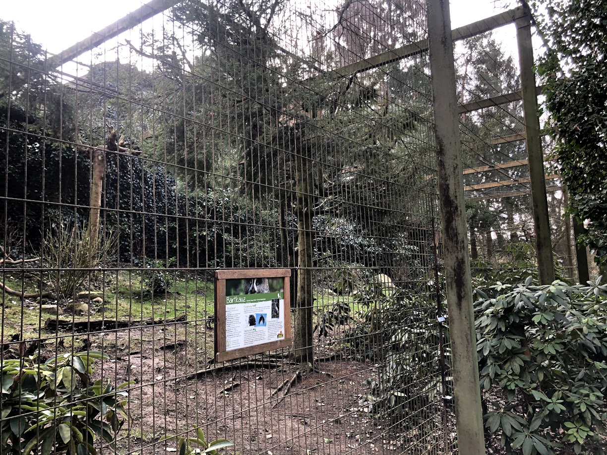 Wildpark Schwarze Berge- owl enclosure- 2021