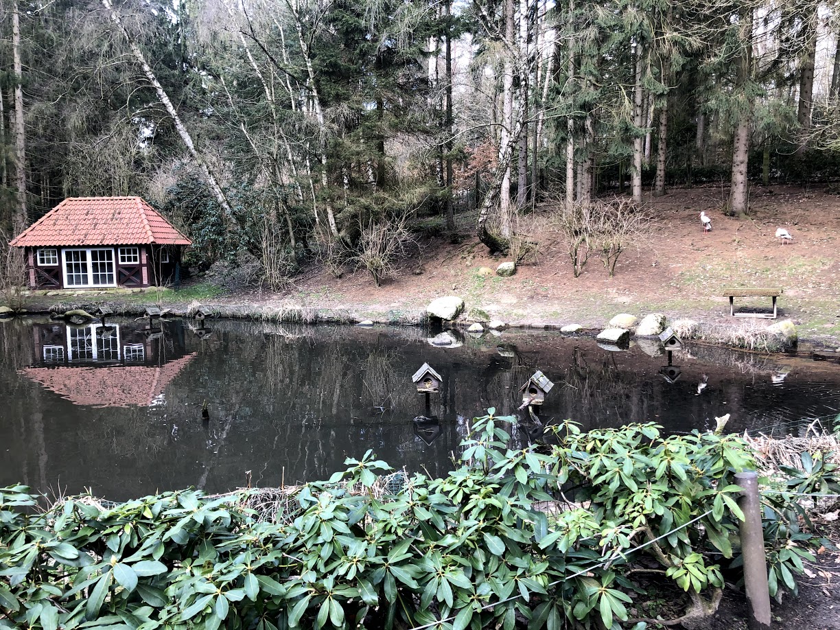 Wildpark Schwarze Berge- pond for water fowl- 2021