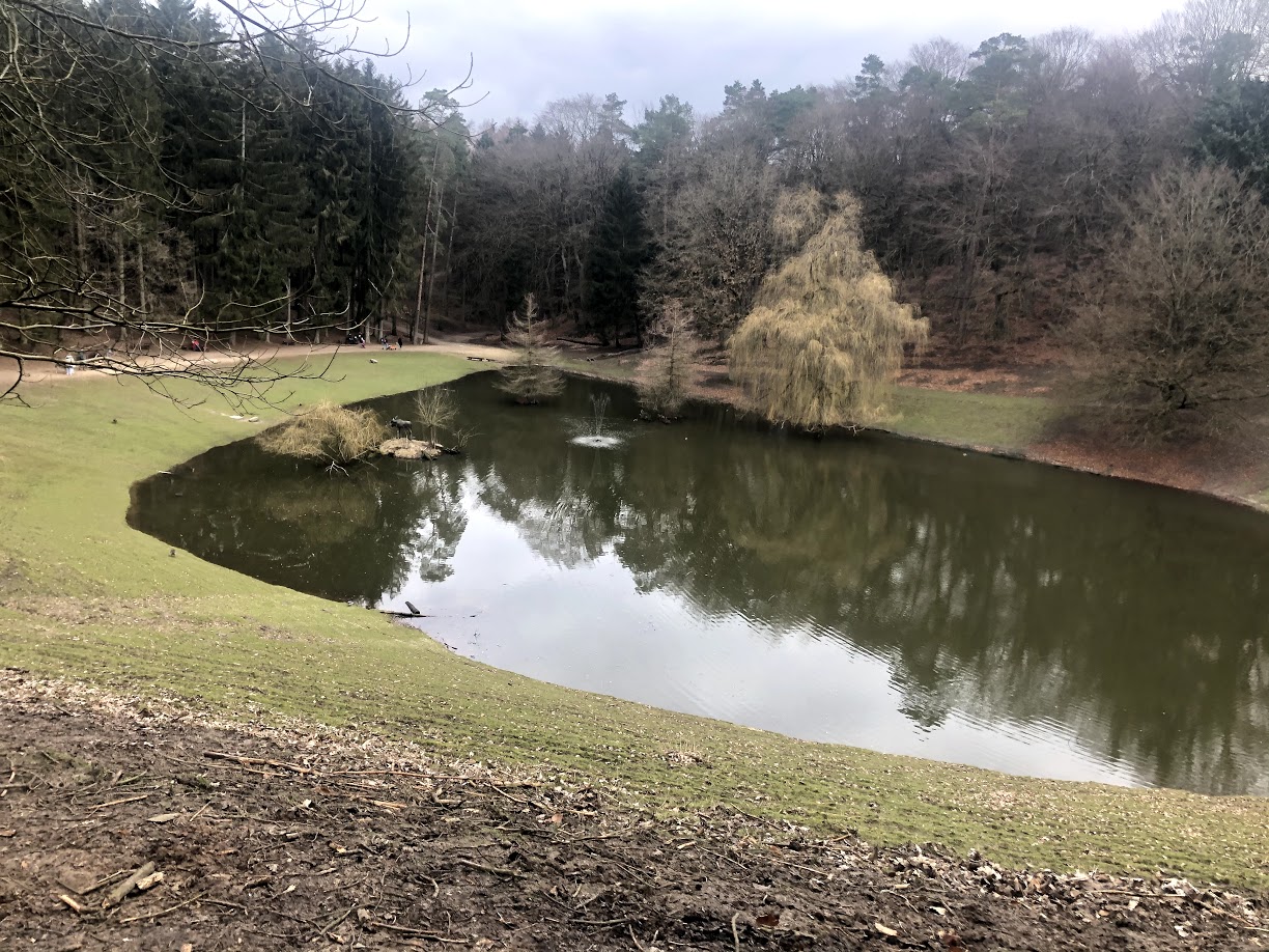Wildpark Schwarze Berge- small lake within walkthrough fallow deer enclosure- 2021