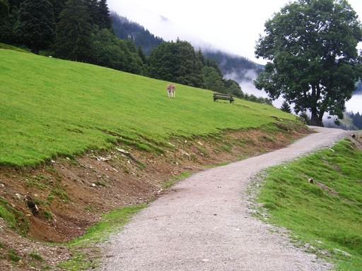 Wildpark Tirol in Aurach walkthrough enclosure 2004