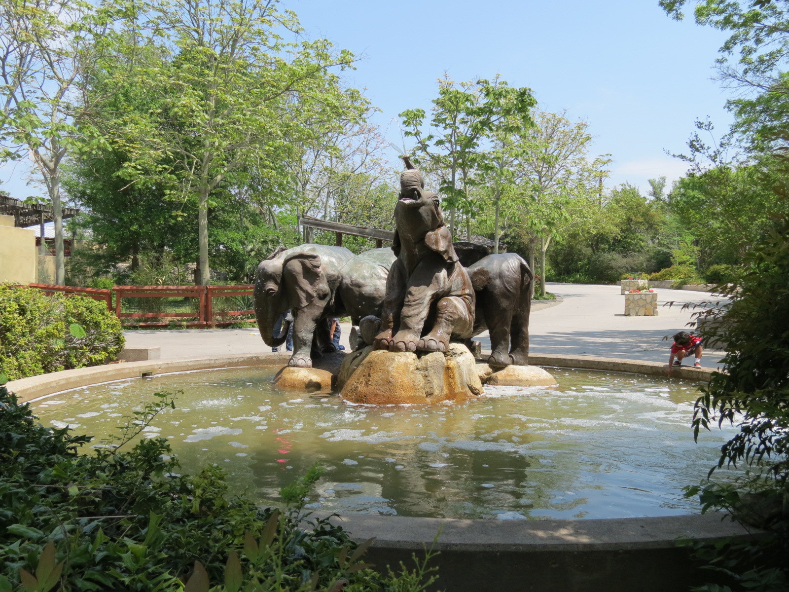 Wilds of Africa - Entry Fountain