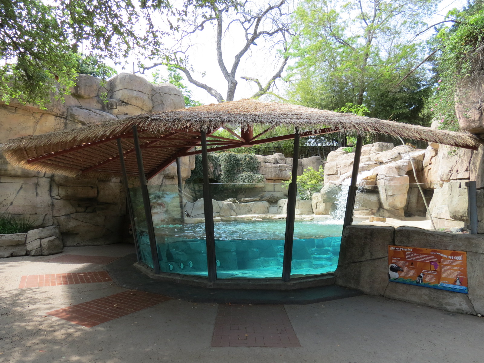 Wilds of Africa - Gateway - African Penguin Exhibit