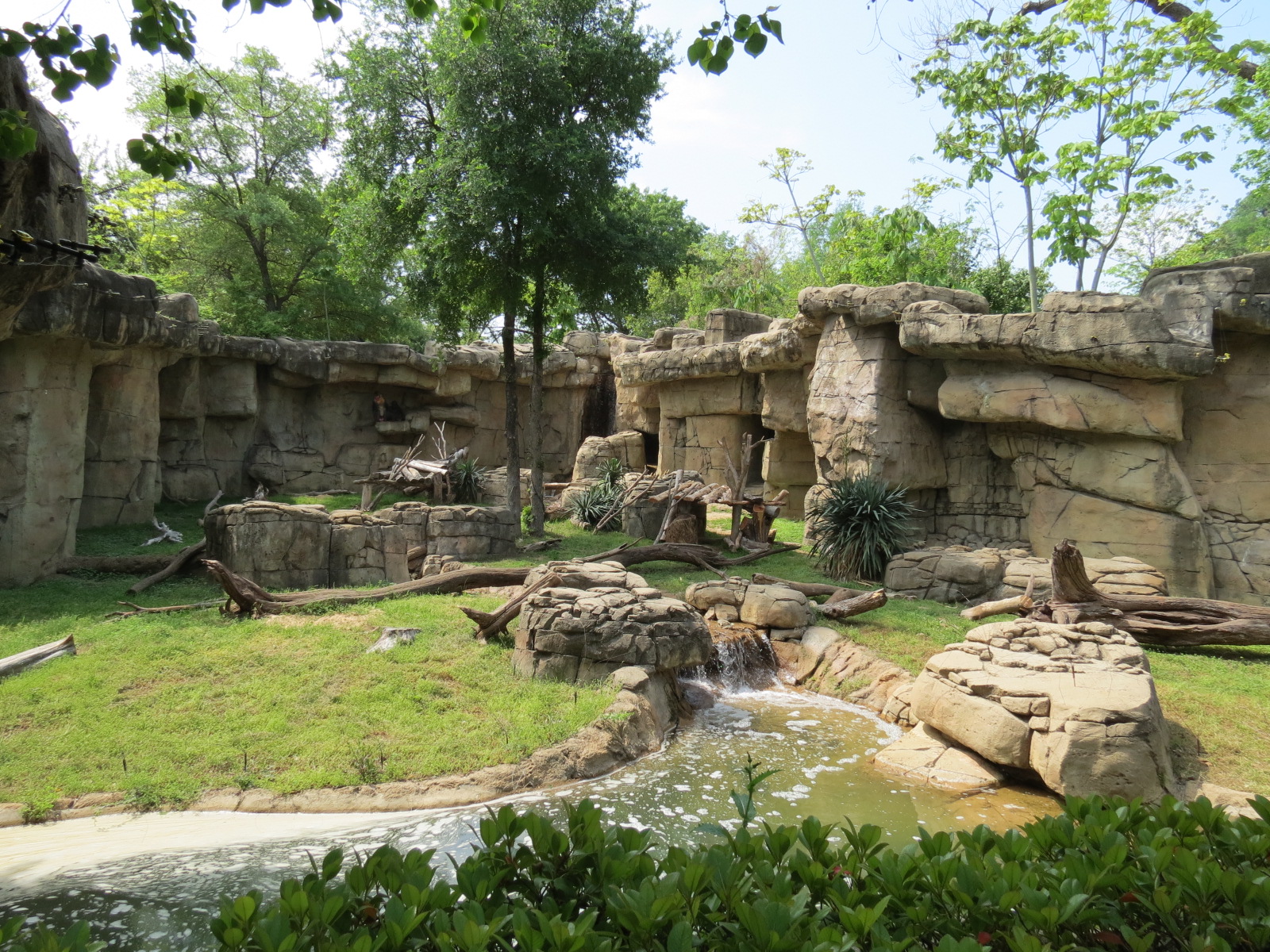 Wilds of Africa - Gateway - Mandrill Exhibit