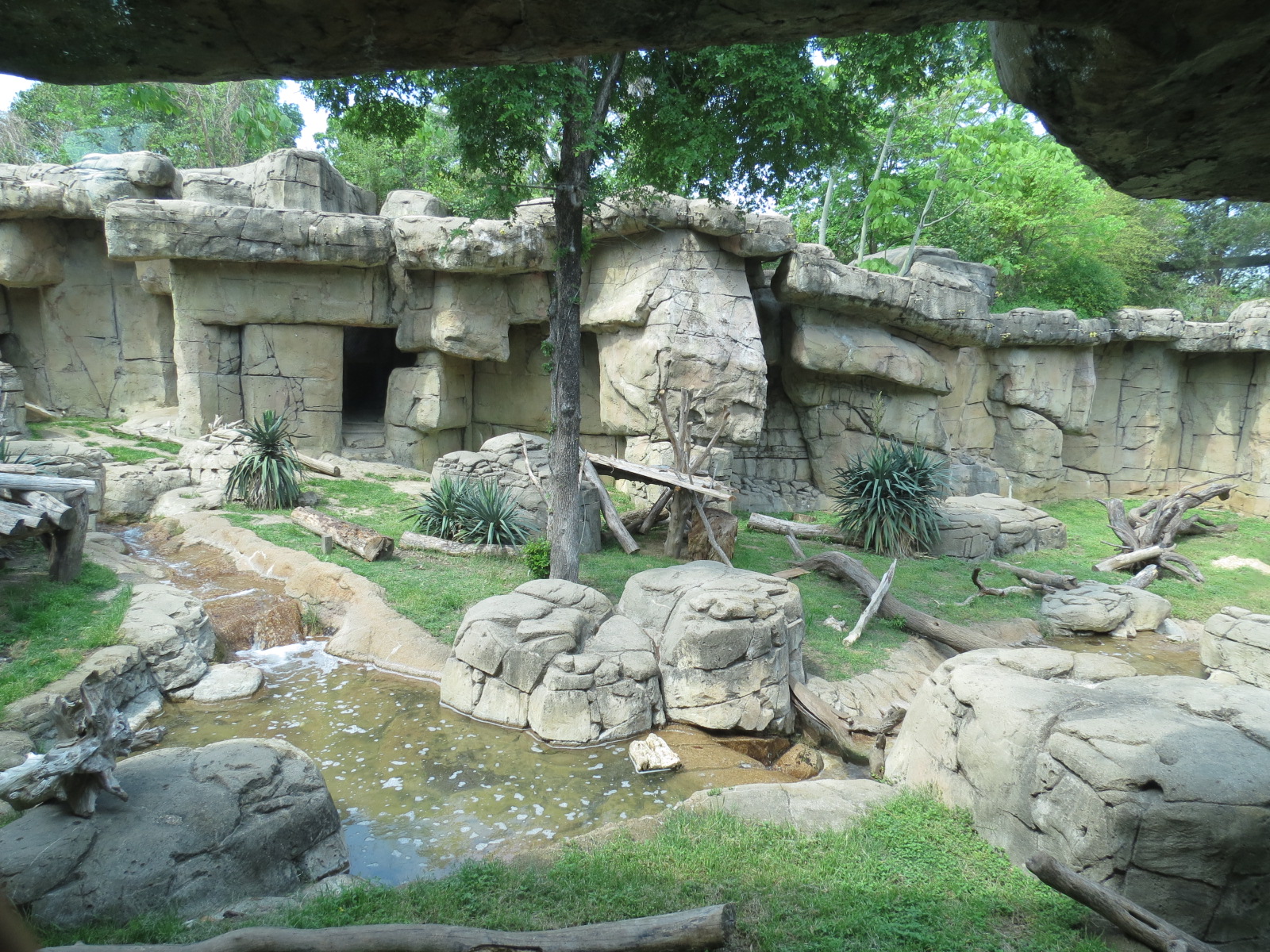 Wilds of Africa - Gateway - Mandrill Exhibit