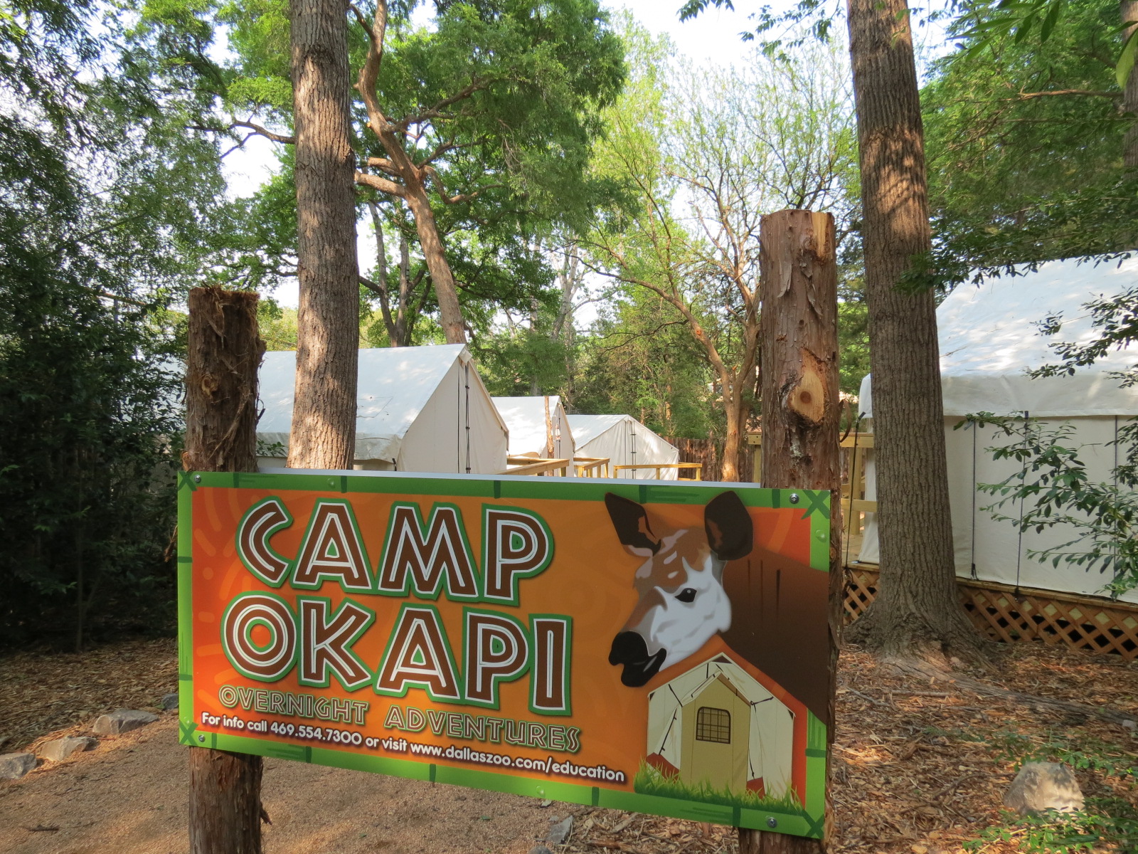 Wilds of Africa - Gorilla Trail - Camp Okapi