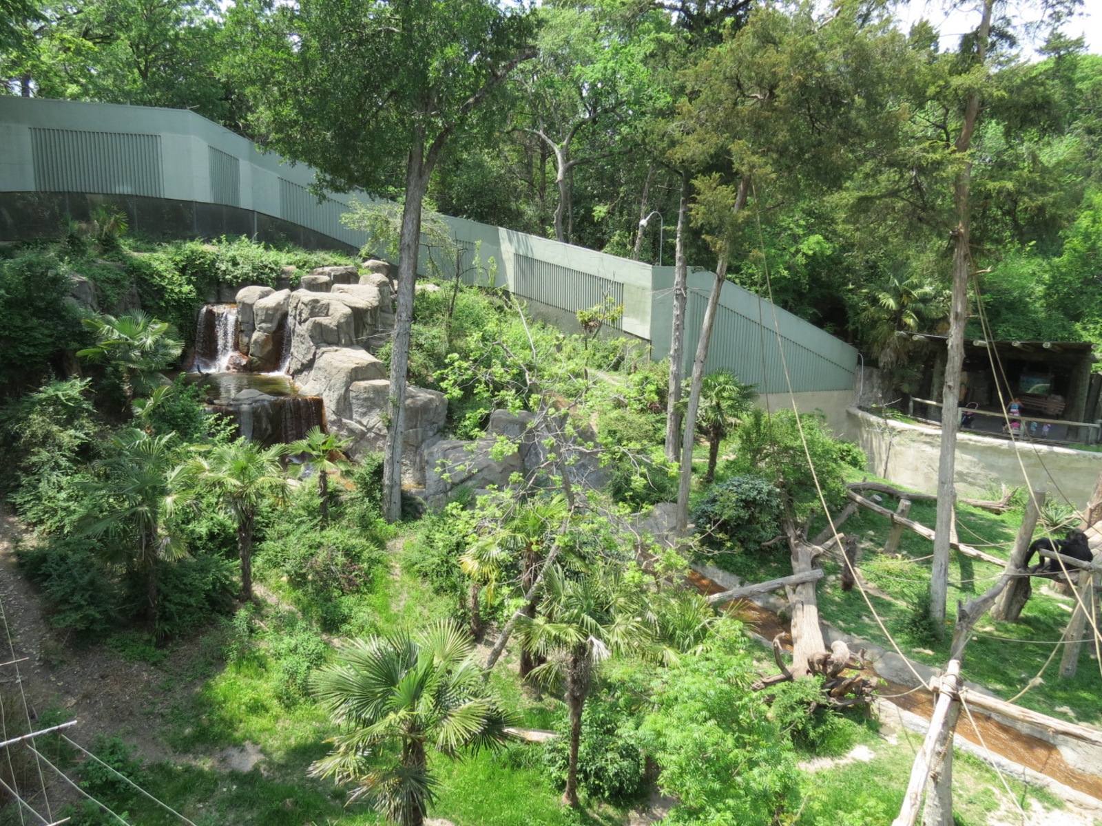 Wilds of Africa - Gorilla Trail - Chimpanzee Exhibit