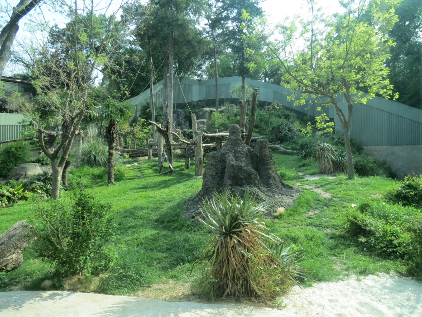 Wilds of Africa - Gorilla Trail - Chimpanzee Exhibit