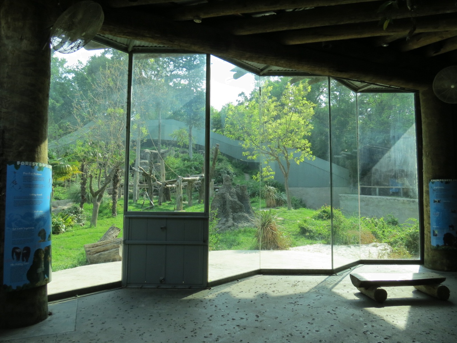 Wilds of Africa - Gorilla Trail - Chimpanzee Exhibit