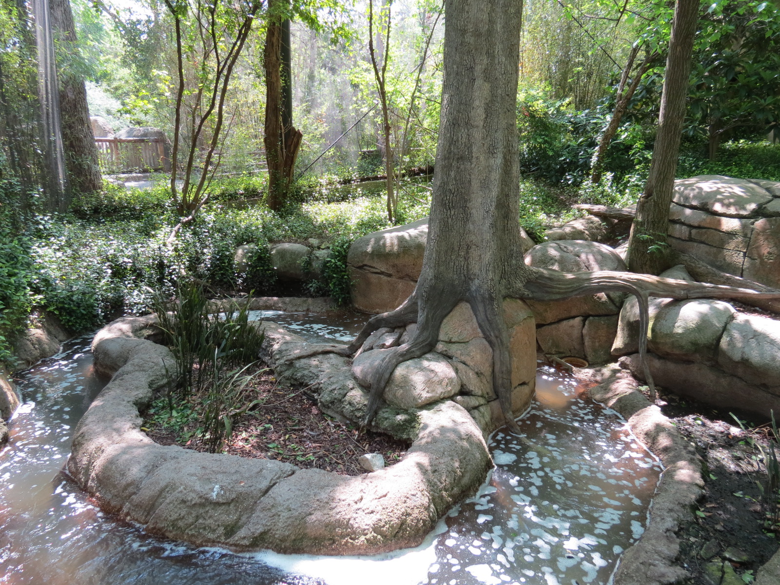 Wilds of Africa - Gorilla Trail - Forest Aviary