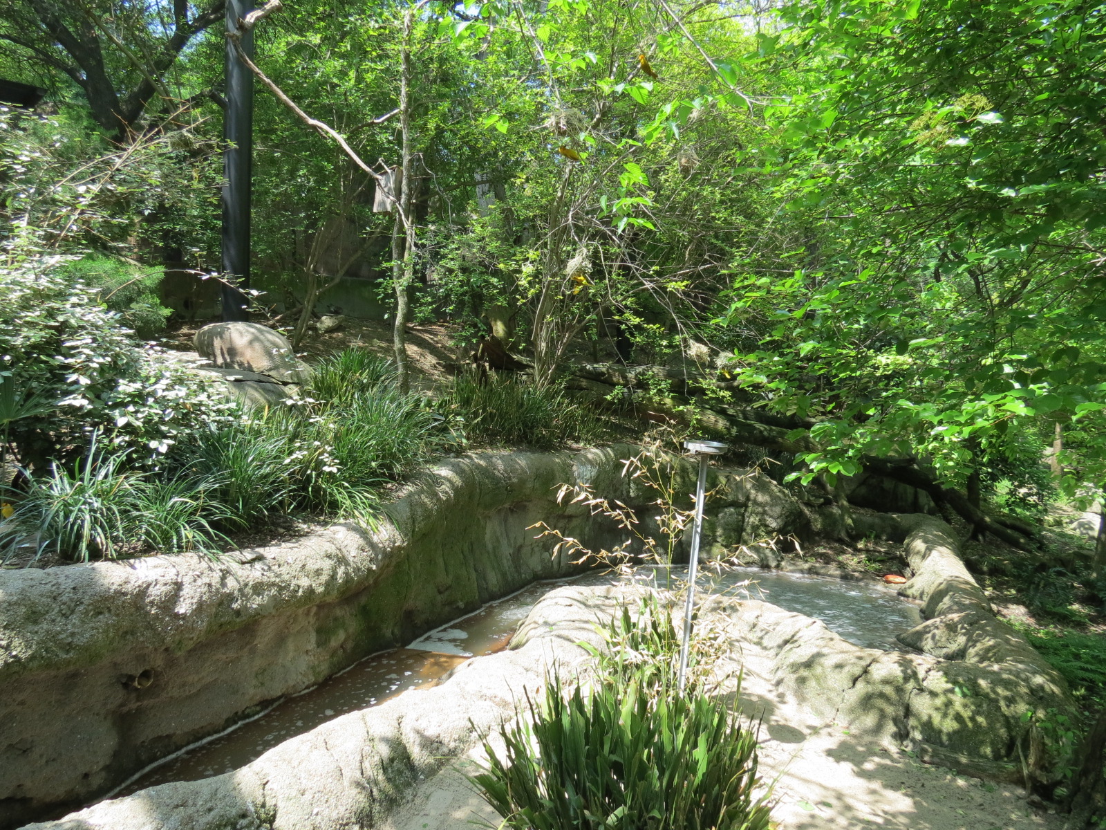 Wilds of Africa - Gorilla Trail - Forest Aviary
