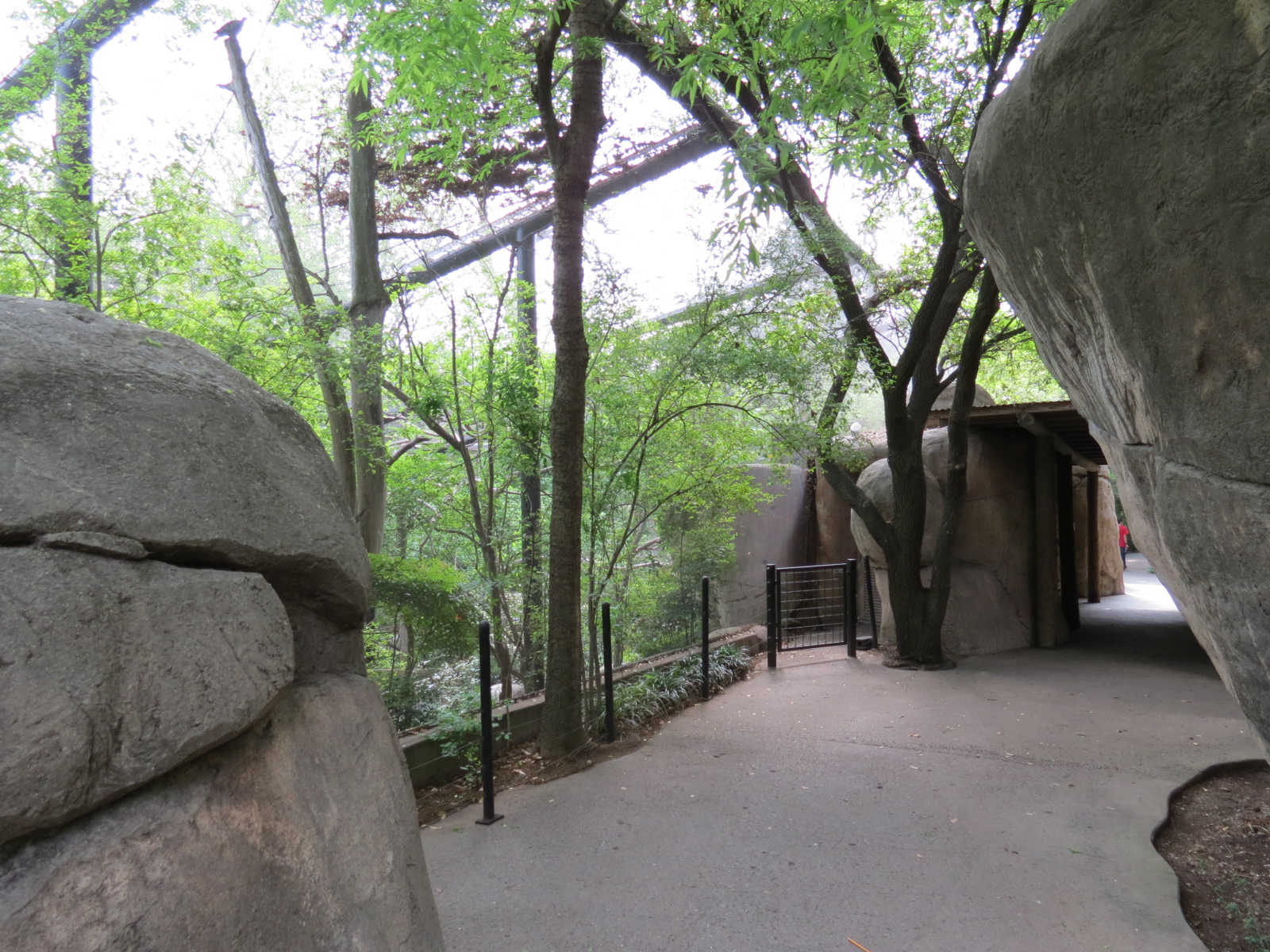 Wilds of Africa - Gorilla Trail - Forest Aviary