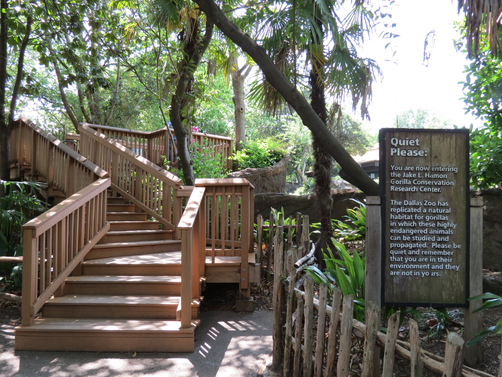 Wilds of Africa - Gorilla Trail - Gorilla Exhibit 1