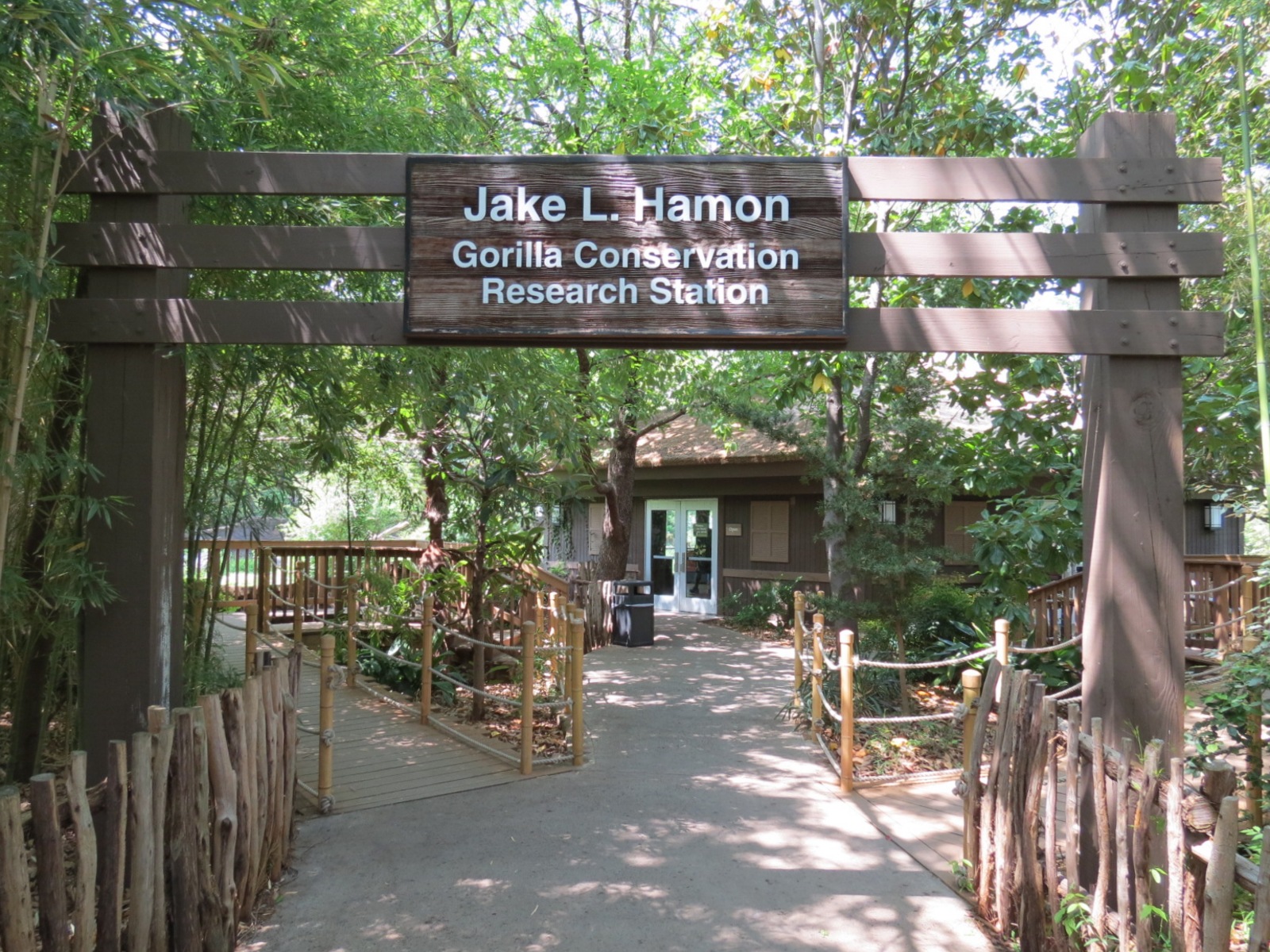 Wilds of Africa - Gorilla Trail - Gorilla Station