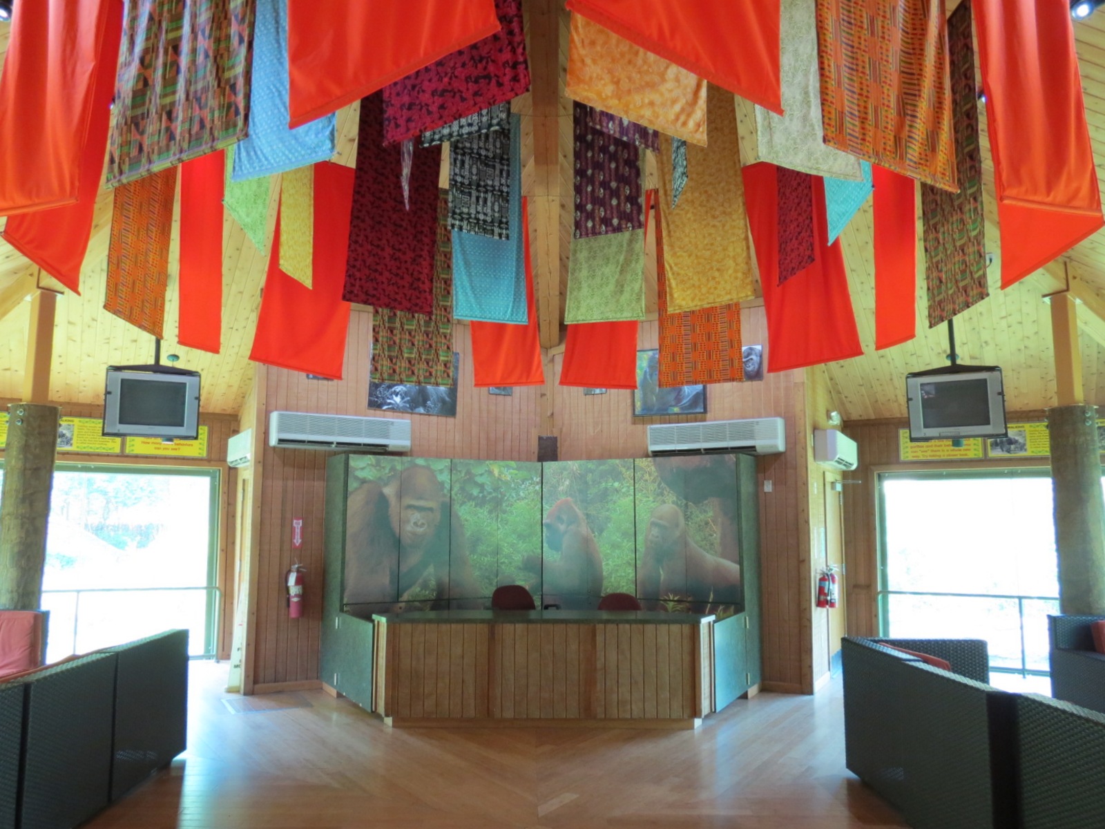 Wilds of Africa - Gorilla Trail - Gorilla Station