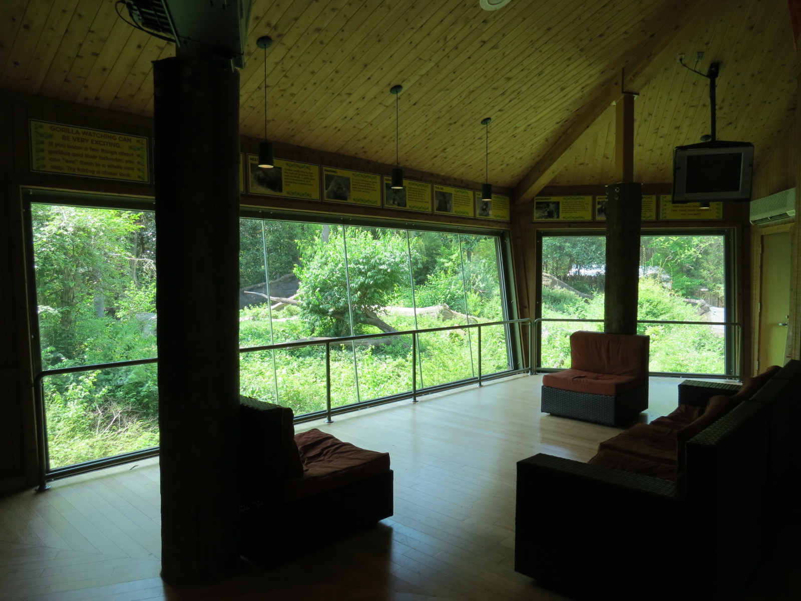 Wilds of Africa - Gorilla Trail - Gorilla Station