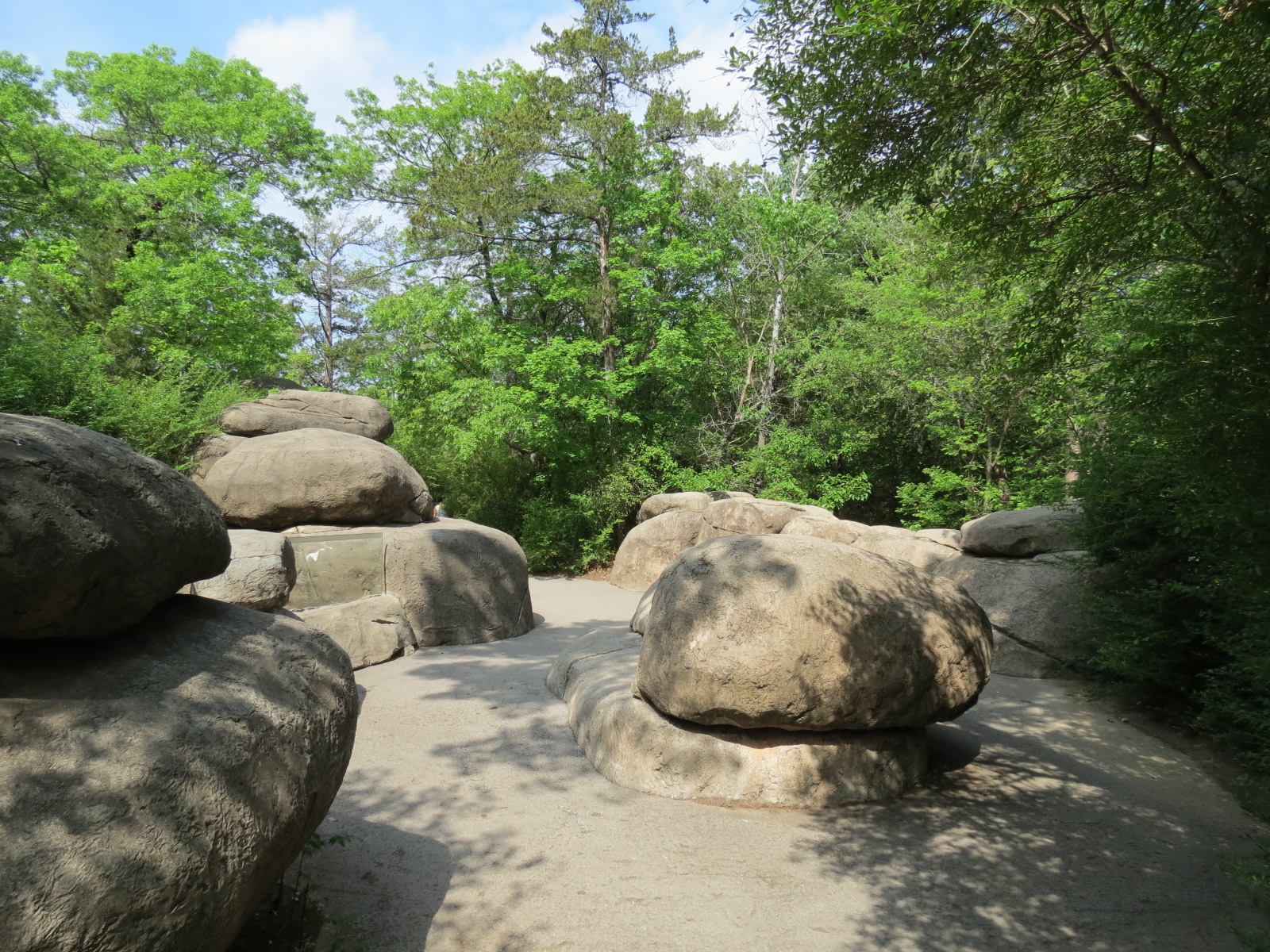 Wilds of Africa - Gorilla Trail - Kopje Area