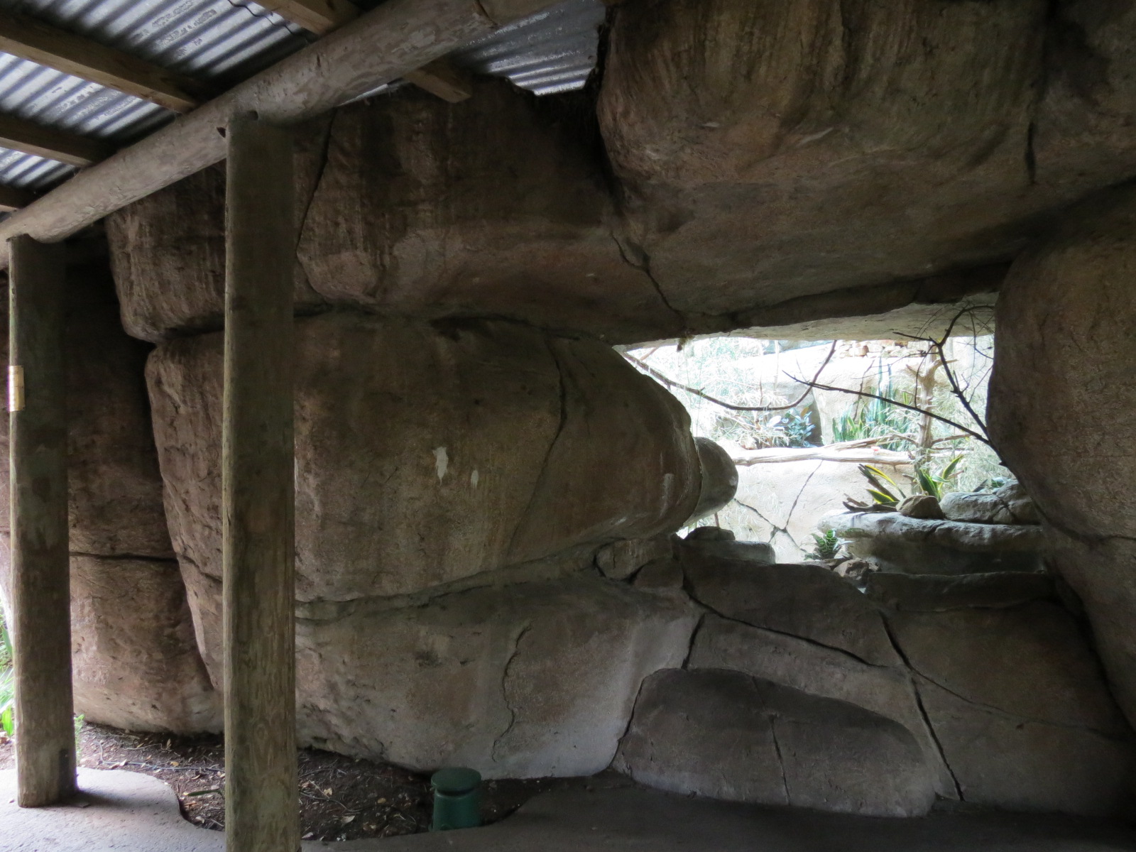 Wilds of Africa - Gorilla Trail - Kopje Aviary