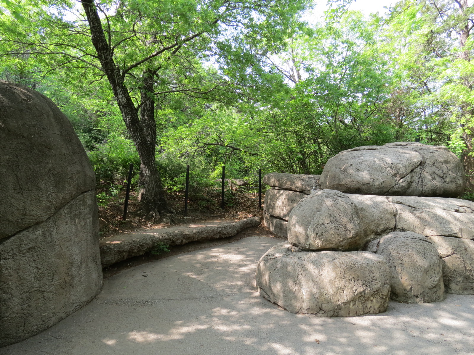 Wilds of Africa - Gorilla Trail - Marabou Stork and Lappet-faced Vulture Ex