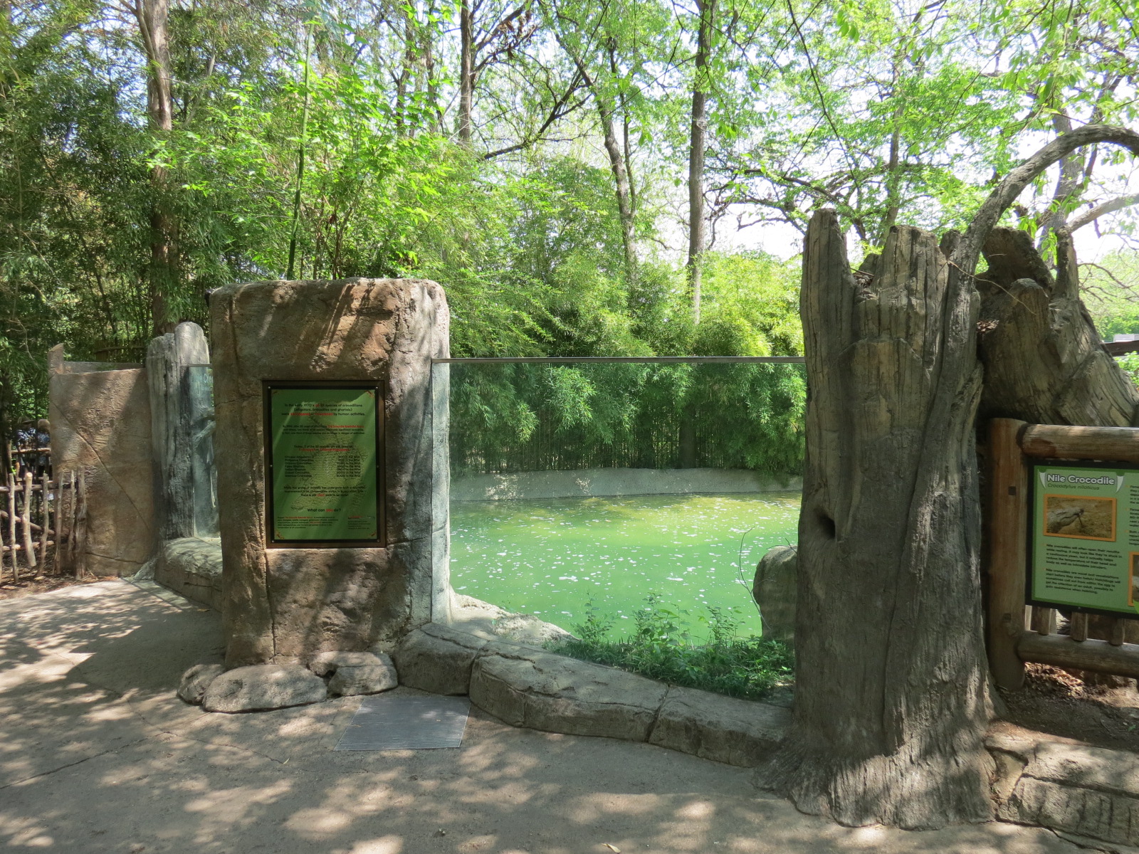 Wilds of Africa - Gorilla Trail - Nile Crocodile Exhibit